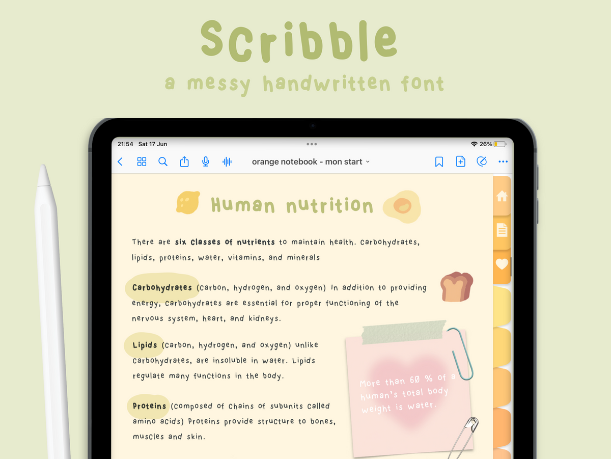handwritten font 'scribble’ – StudioCherii